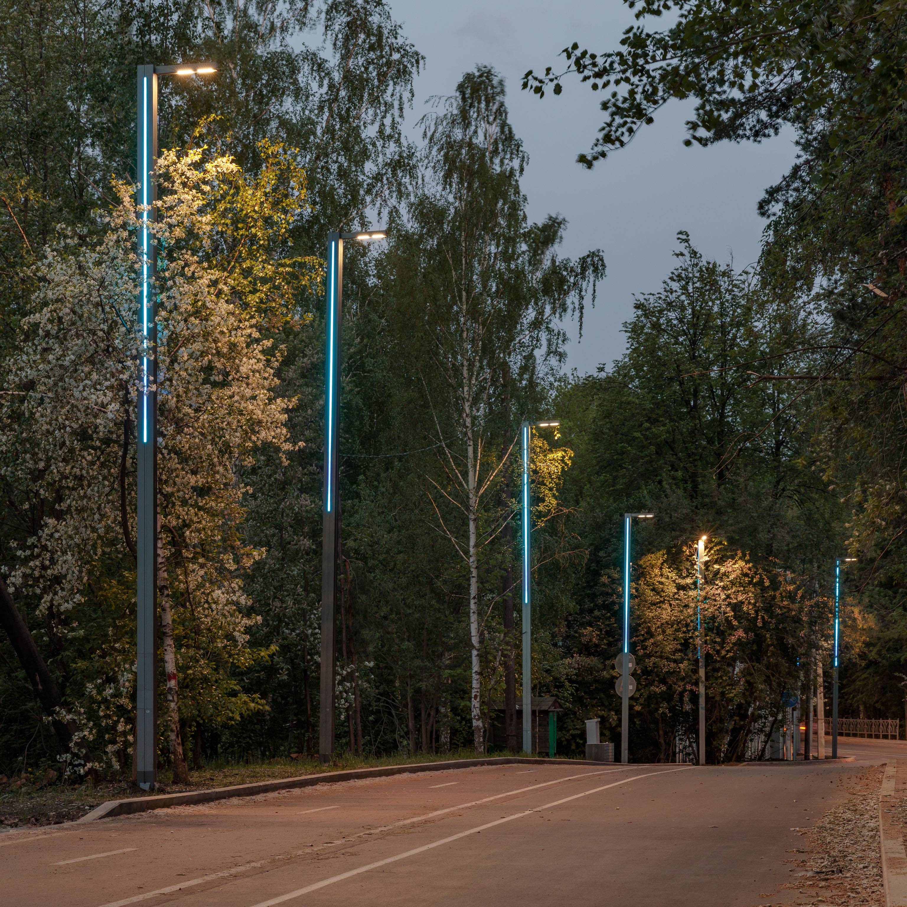 2021.6 освещение лесной парка сальташ в екатеринбурге
